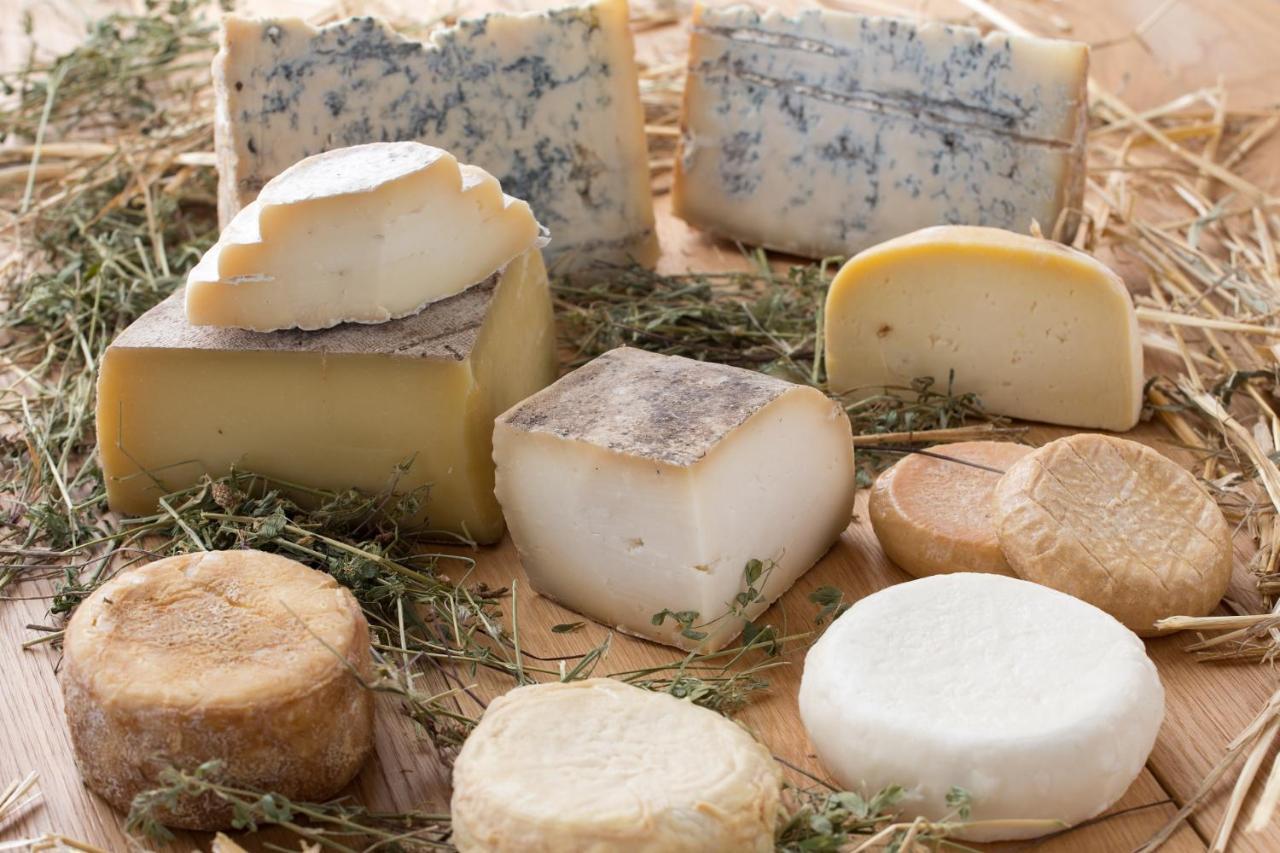 Cascina Marcantonio Acqui Terme Eksteriør billede