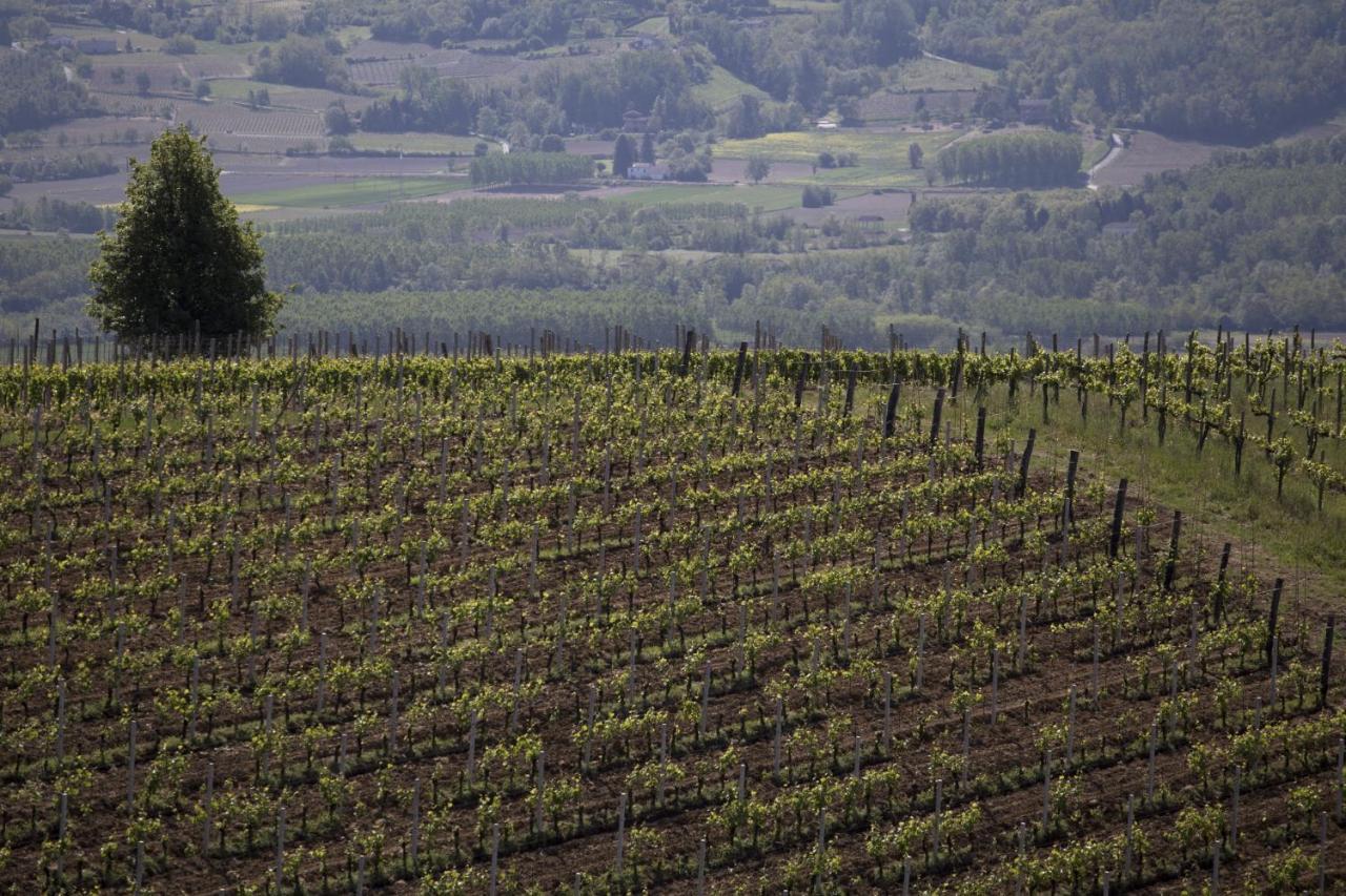Cascina Marcantonio Acqui Terme Eksteriør billede