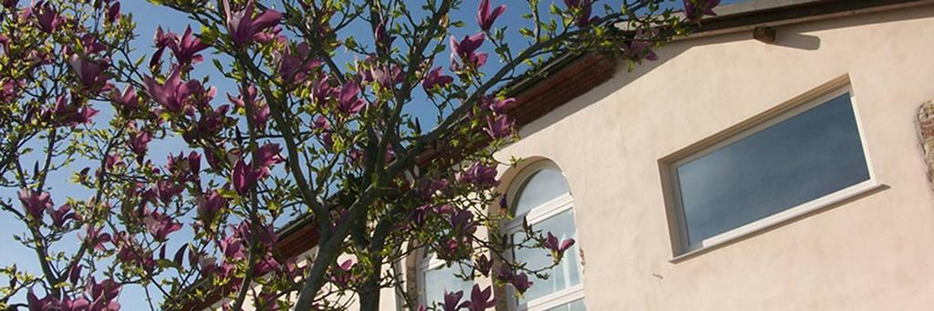 Cascina Marcantonio Acqui Terme Eksteriør billede