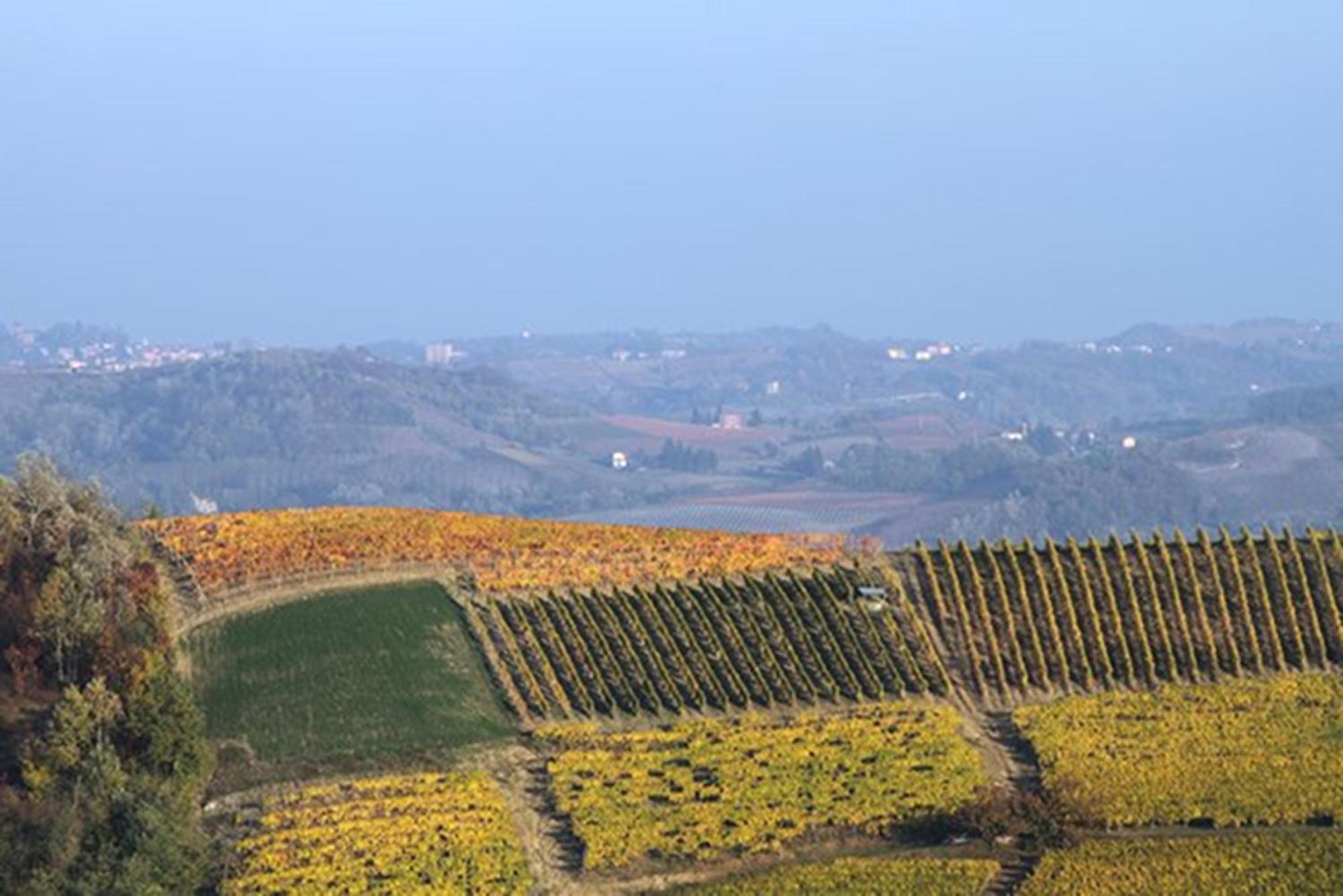 Cascina Marcantonio Acqui Terme Eksteriør billede